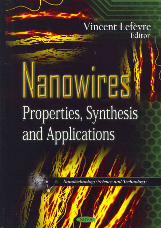 Kniha Nanowires 