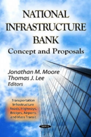 Libro National Infrastructure Bank 