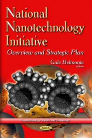 Könyv National Nanotechnology Initiative 