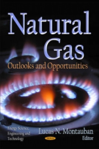 Carte Natural Gas 