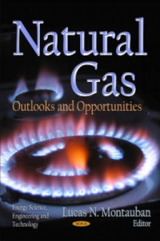 Buch Natural Gas 