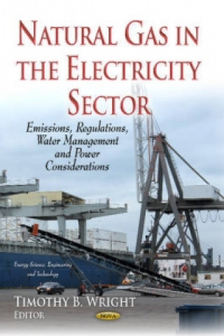 Buch Natural Gas in the Electricity Sector 