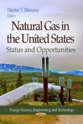 Kniha Natural Gas in the United States 