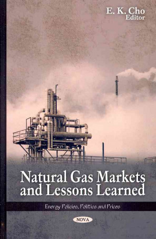 Kniha Natural Gas Markets & Lessons Learned 