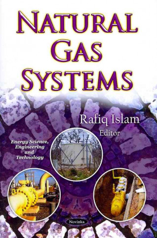 Книга Natural Gas Systems 