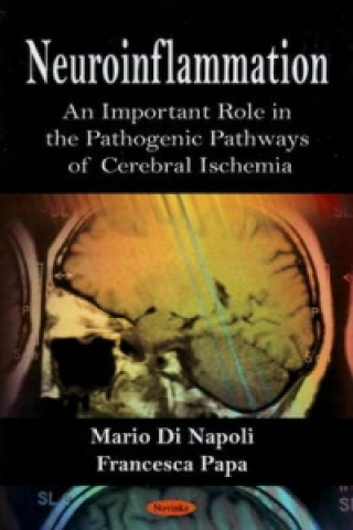 Libro Neuroinflammation Mario Di Napoli