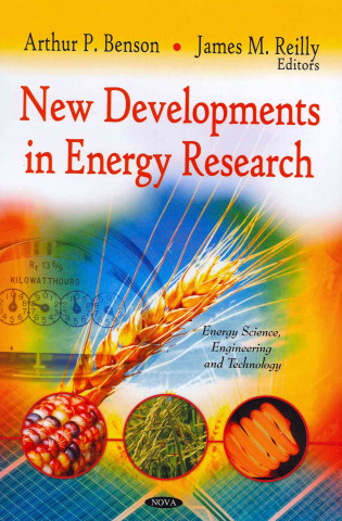 Kniha New Developments in Energy Research 