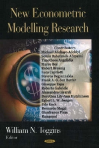 Kniha New Econometric Modelling Research William N. Toggins