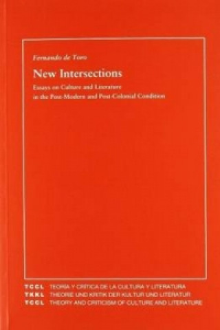 Knjiga New Intersections Fernando De Toro