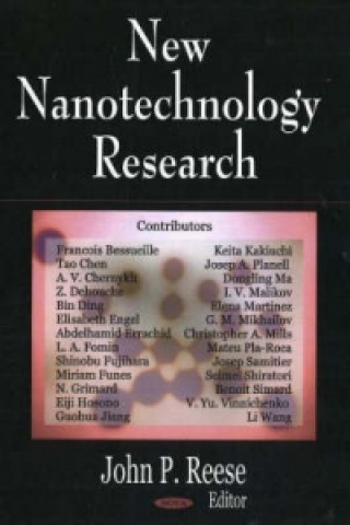 Kniha New Nanotechnology Research 