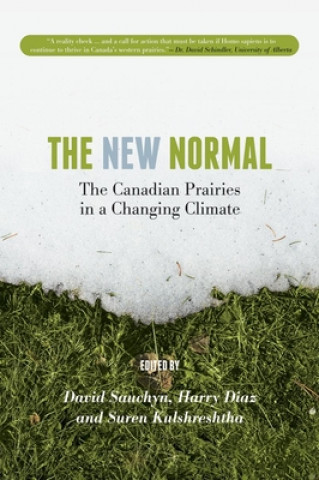 Kniha New Normal 
