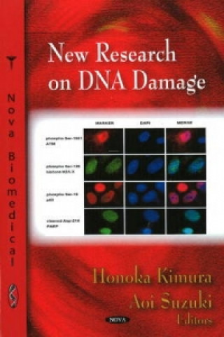 Kniha New Research on DNA Damage Aoi Suzuki