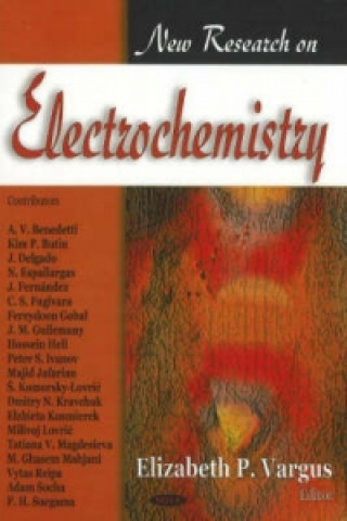 Kniha New Research on Electrochemistry 