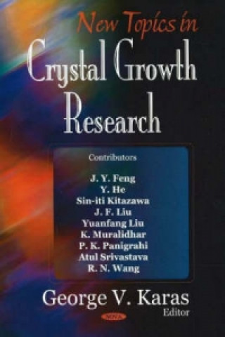 Könyv New Topics in Crystal Growth Research 