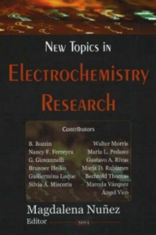 Könyv New Topics in Electrochemistry Research 