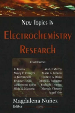 Kniha New Topics in Electrochemistry Research 