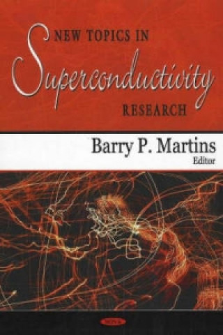 Könyv New Topics in Superconductivity Research 