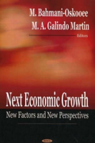 Könyv Next Economic Growth 