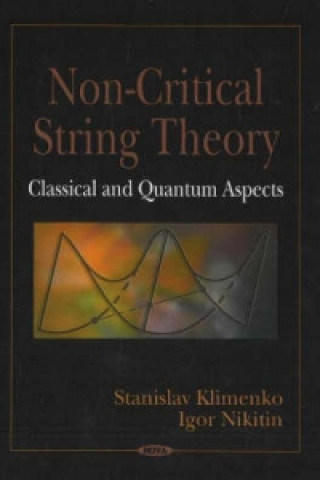 Buch Non-Critical String Theory Igor Nikitin