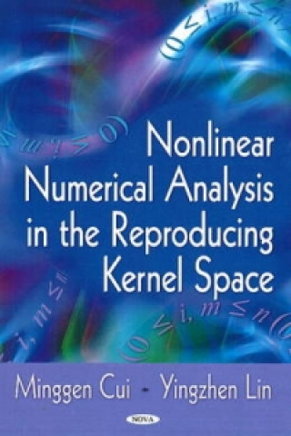 Buch Nonlinear Numerical Analysis in Reproducing Kernel Space Yingzhen Lin