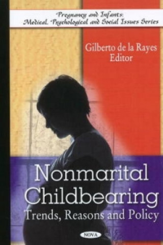 Kniha Non-Marital Childbearing Gilberto de la Rayes