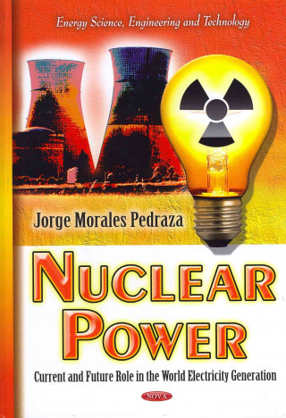 Book Nuclear Power Jorge Morales Pedraza
