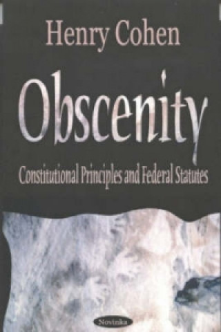 Kniha Obscenity & Indecency Henry Cohen