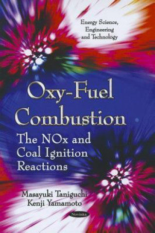 Kniha Oxy-Fuel Combustion Kenji Yamamoto