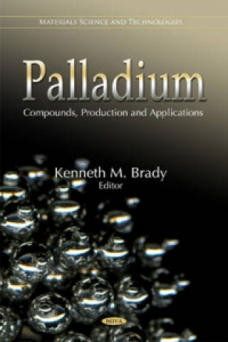 Kniha Palladium 