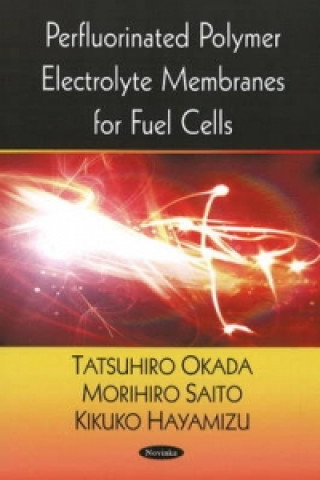 Kniha Perfluorinated Polymer Electrolyte Membranes for Fuel Cells Morihiro Saito