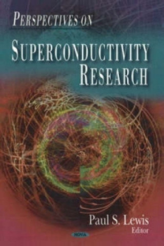 Kniha Perspectives on Superconductivity Research 