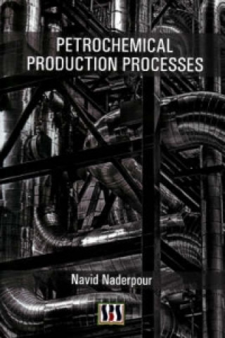 Könyv Petrochemical Production Processes Navid Naderpour