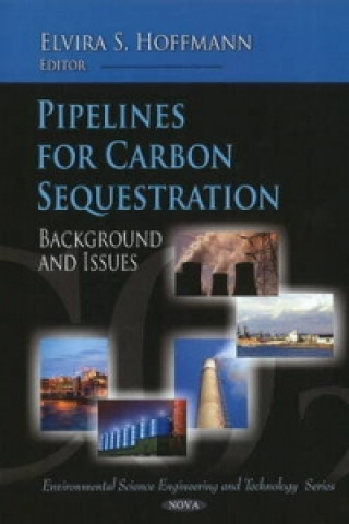 Книга Pipelines for Carbon Sequestration 