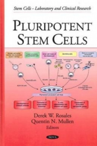 Carte Pluripotent Stem Cells 