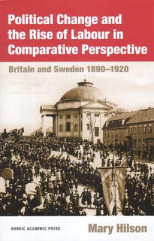 Kniha Political Change & the Rise of Labour in Comparative Perspective Mary Hilson