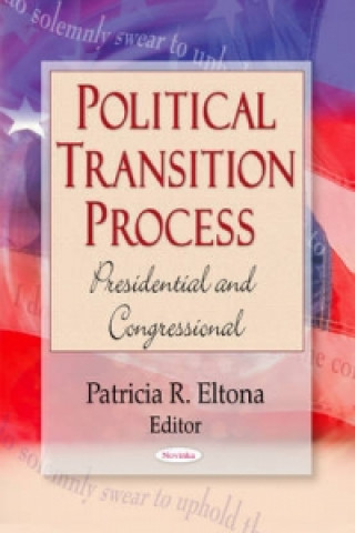 Kniha Political Transition Process 