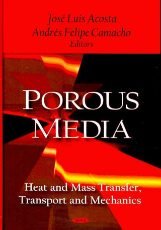 Carte Porous Media 