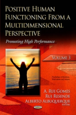 Kniha Positive Human Functioning from a Multidimensional Perspective 