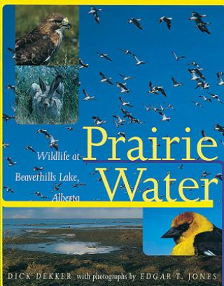 Carte Prairie Water Edgar Jones