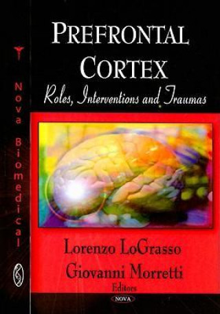 Book Prefrontal Cortex 