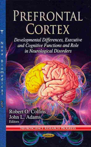 Buch Prefrontal Cortex John L Adams