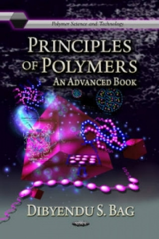 Kniha Principles of Polymers Dibyendu Sekhar Bag