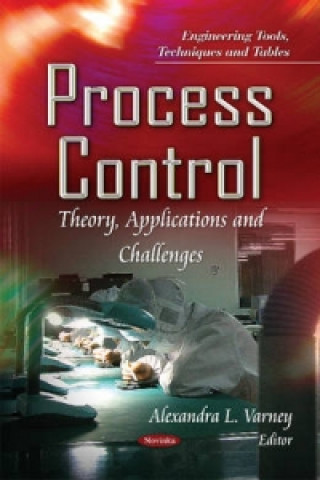 Kniha Process Control Alexandra L. Varney