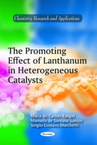 Książka Promoting Effect of Lanthanum in Heterogeneous Catalysts Sergio Gustavo Marchetti