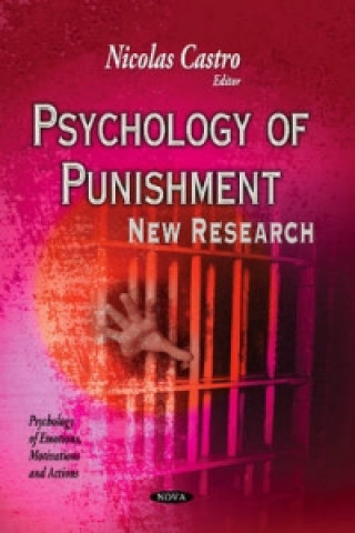 Livre Psychology of Punishment 