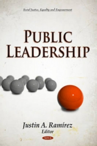 Kniha Public Leadership 