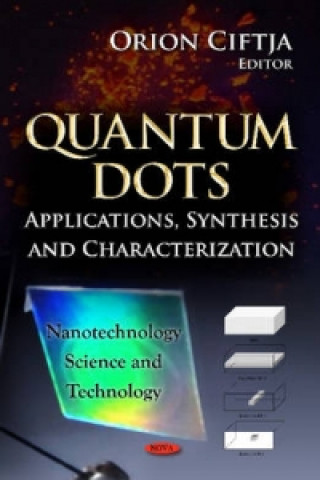 Kniha Quantum Dots 