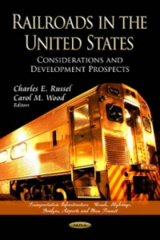 Kniha Railroads in the United States 