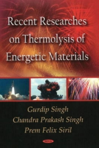 Kniha Recent Researches on Thermolysis of Energetic Materials Gurdip Singh