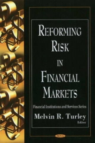 Könyv Reforming Risk in Financial Markets 